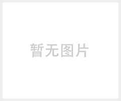 新思路LED30W小金豆路灯