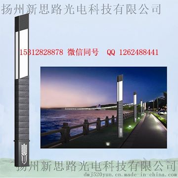 LED景观灯300W LED路灯